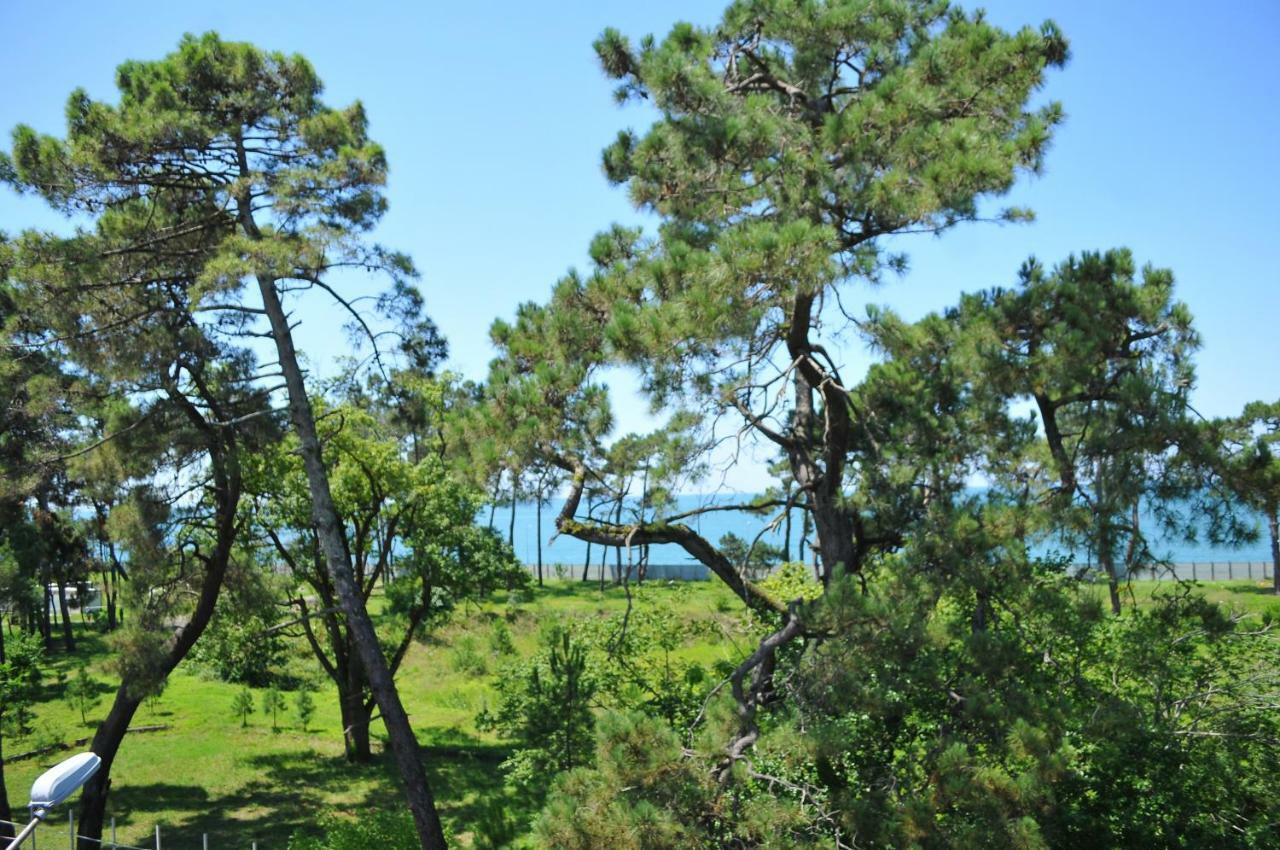 Hotel Horizon Kobuleti Esterno foto